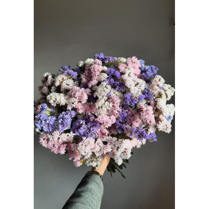 Статица (Лимониум) в Каскелене