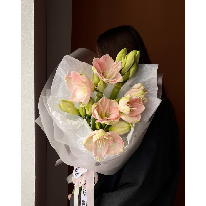 Амариллис в Каскелене