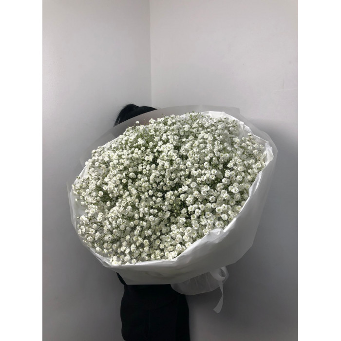 Гипсофила классическая в Каскелене