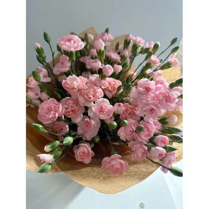 Кустовые гвоздики в Каскелене