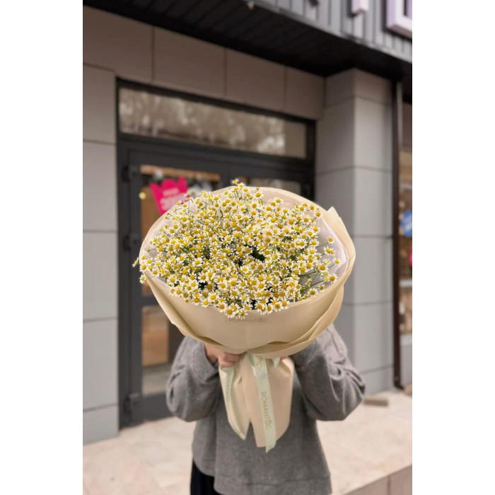 Танацетум в Каскелене