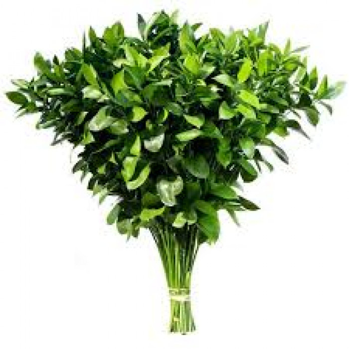 Рускус в Каскелене